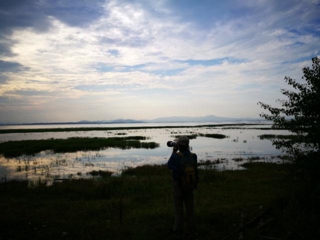 清晨水鸟监测.jpg